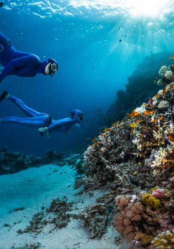 Остров Тиран на яхте