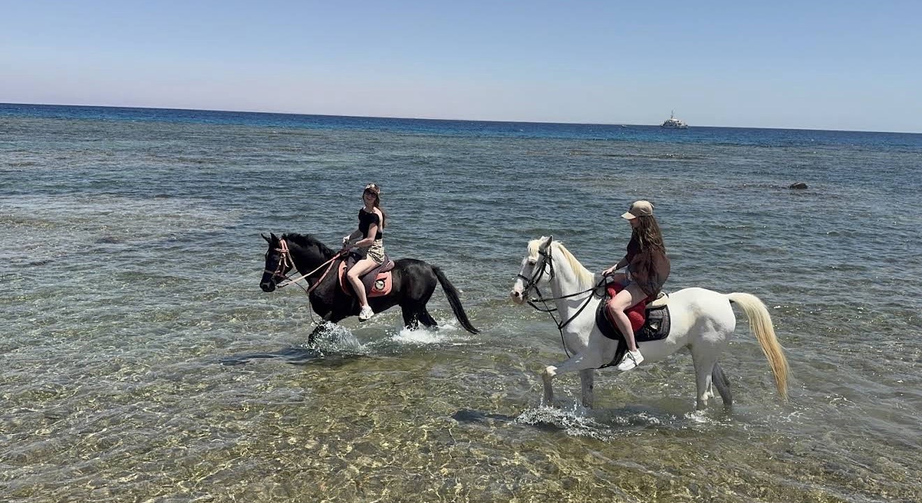 6Катание на лошадях вдоль моря