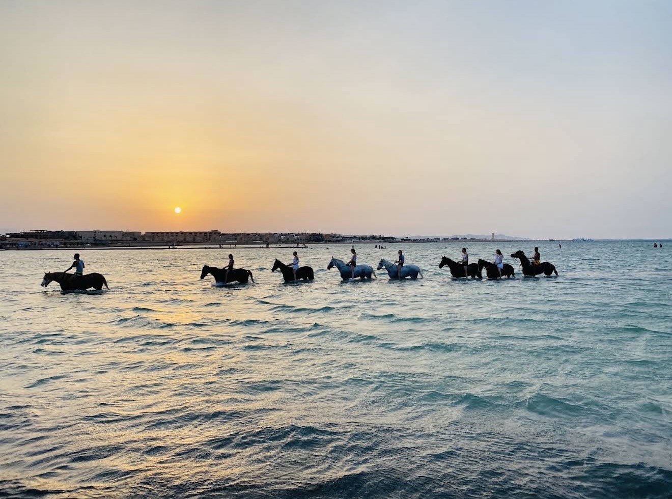 14Купание на лошадях в море + прогулка