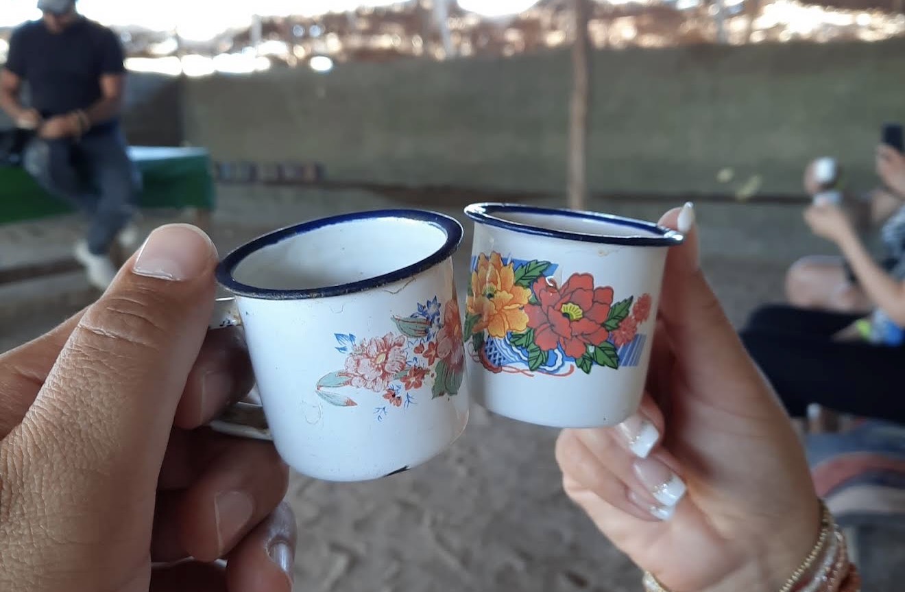3Сафари на квадроциклах + верблюды + чаепитие