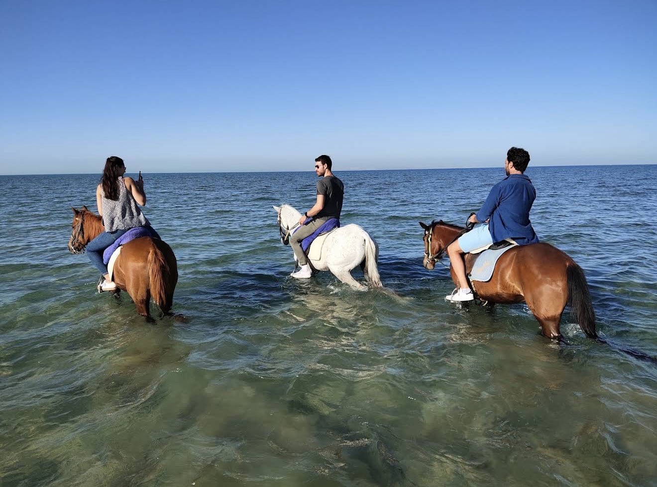 4Купание на лошадях в море + прогулка
