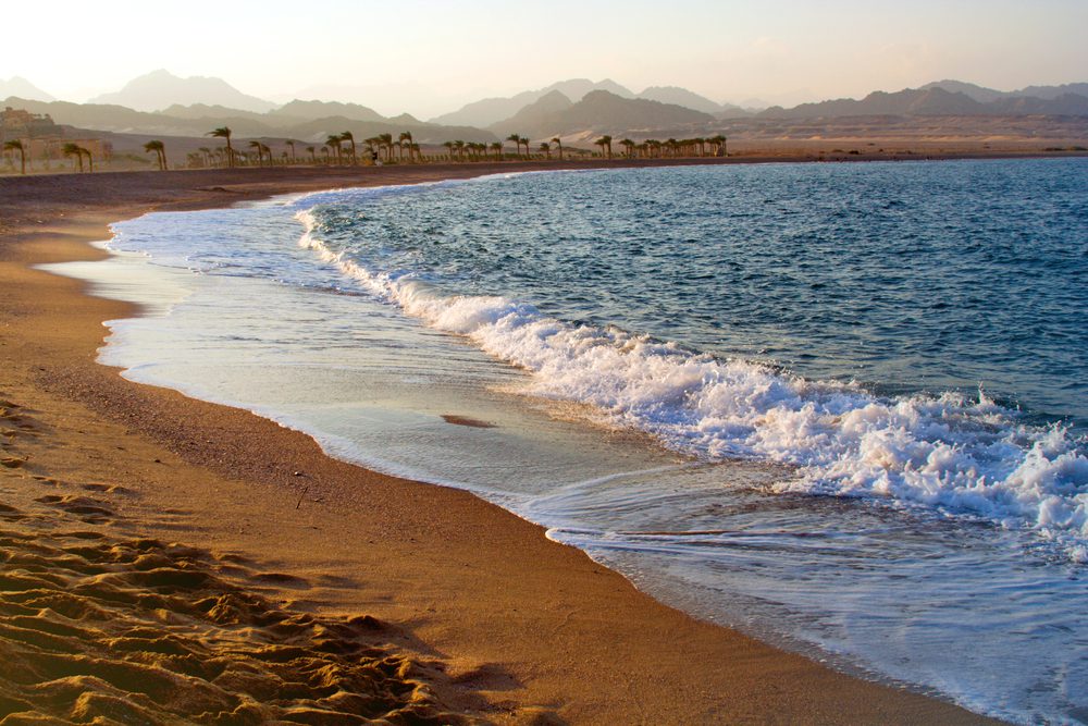 5Катание на лошадях вдоль моря