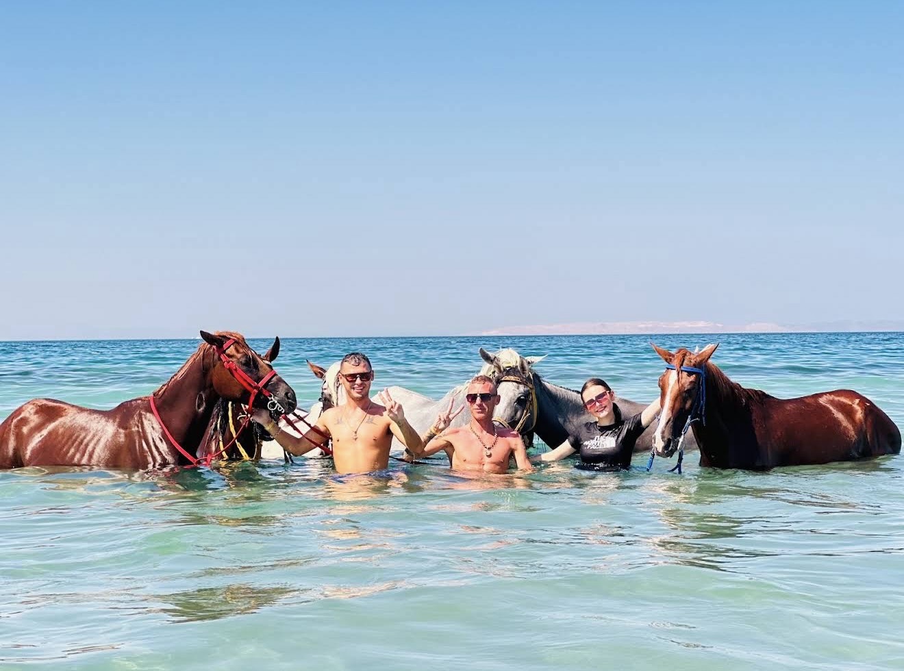 5Купание на лошадях в море + прогулка