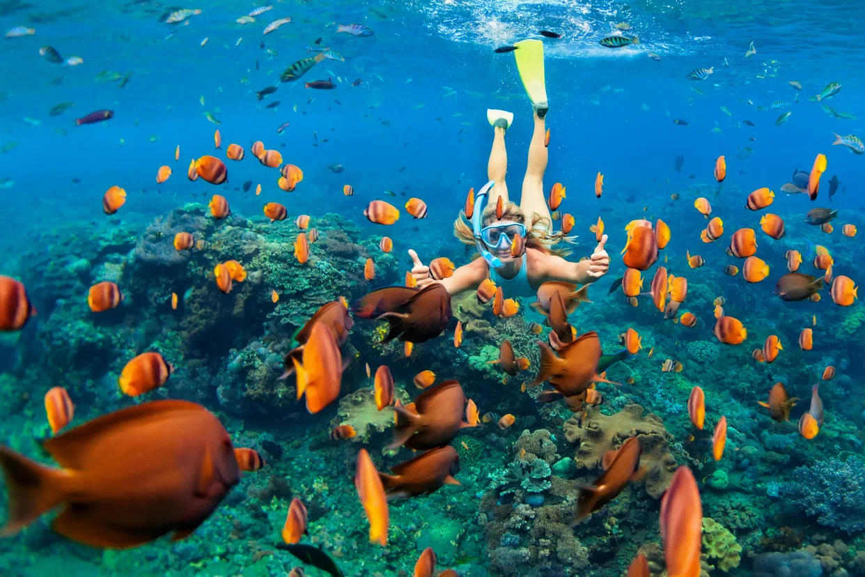 5Isola Paradise, Hula Hula (possibilità di diving)