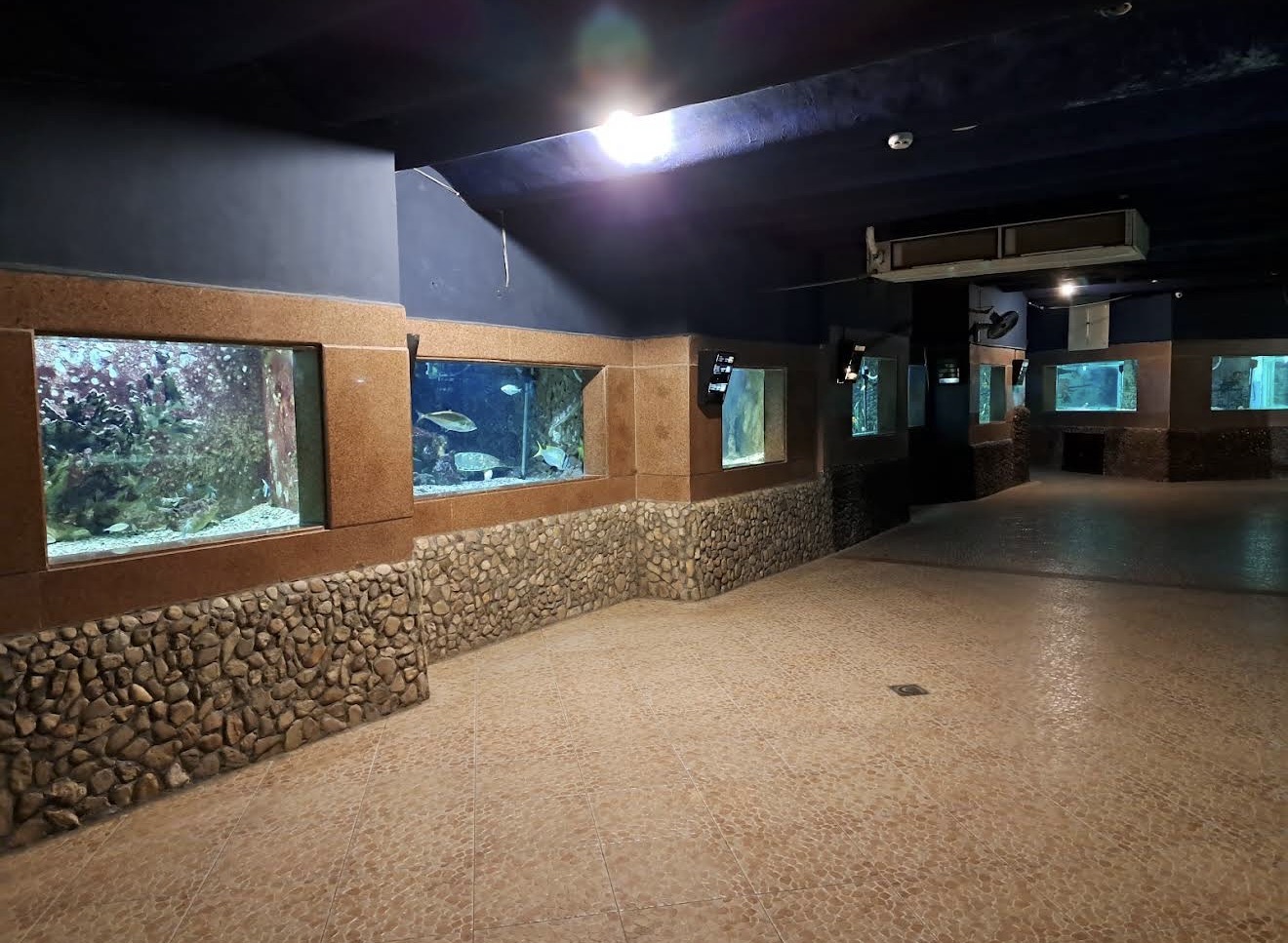 7Сокровище Красного моря: два аквариума