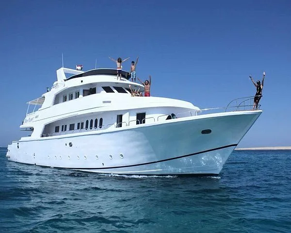 9Yacht Tour a Dolphin Bay